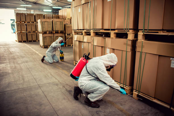 Best Wasp Removal Services  in Franklin, NJ