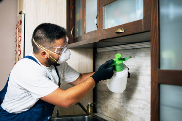 Best Residential Pest Control  in Franklin, NJ