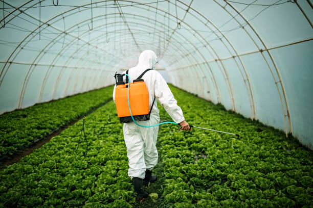 Best Pest Control Cost  in Franklin, NJ