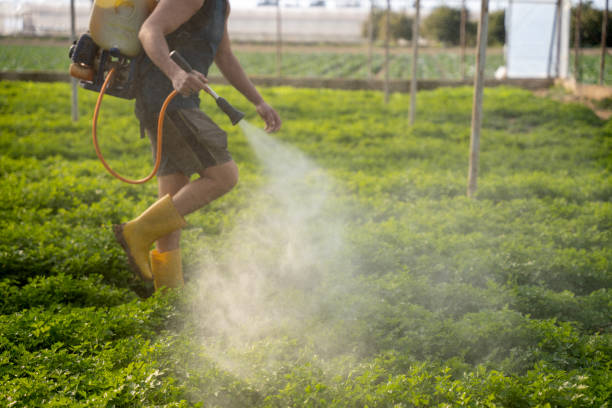 Best Affordable Exterminators  in Franklin, NJ