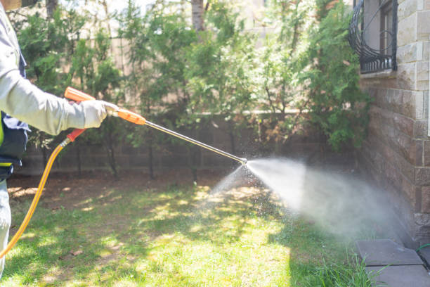 Best Residential Pest Control  in Franklin, NJ