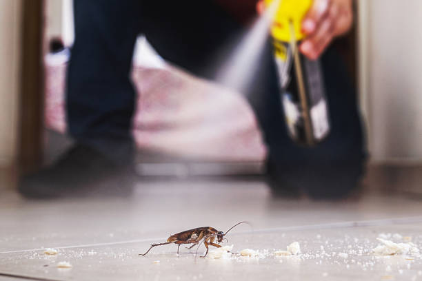 Professional Pest Control in Franklin, NJ