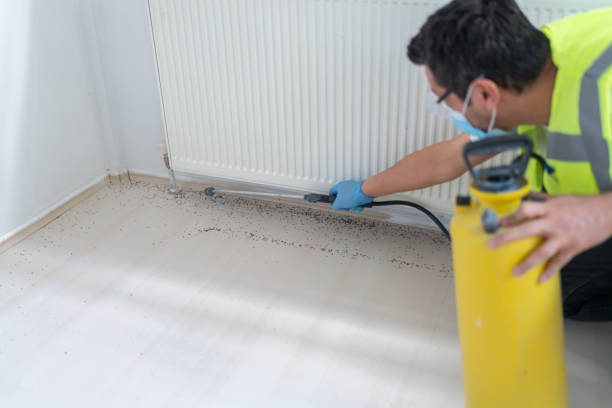 Best Local Pest Control Services  in Franklin, NJ