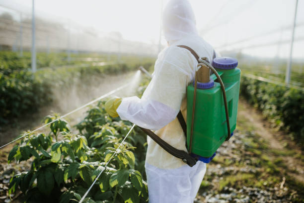 Best Wildlife Control Services  in Franklin, NJ